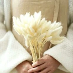 Decorazione Di Erba Di Pampa Essiccata 40 X Erba Di Pampa Essiccata Fiori Secchi Senza Profumo Bouquet Di Fiori Secchi Decorazione Di Fiori Secchi Naturali