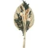 Bouquet Di Fiori Secchi Palm, H52 Cm - Atmosphera Créateur D'intérieur