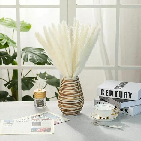 Erba Di Pampa Essiccata - Mazzo Di Fiori Secchi Di Erba Di Canne Di Piume Naturali Da 30 Pezzi Per La Decorazione Della Festa Nuziale Della Cucina Fai-da-te - immagine 2