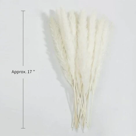 Erba Di Pampa Essiccata - Mazzo Di Fiori Secchi Di Erba Di Canne Di Piume Naturali Da 30 Pezzi Per La Decorazione Della Festa Nuziale Della Cucina Fai-da-te - immagine 3