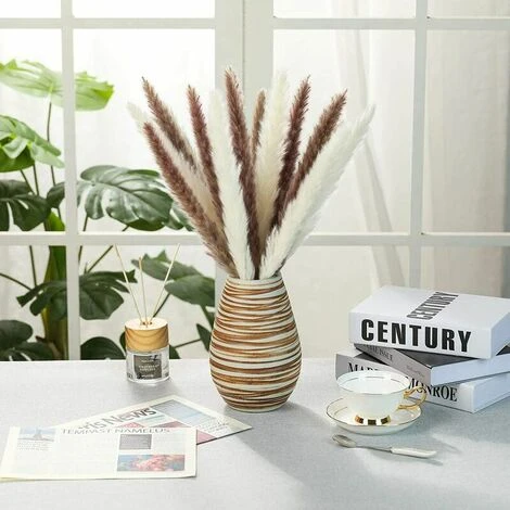 Erba Di Pampa Essiccata - Mazzo Di Fiori Secchi Di Erba Di Canne Di Piume Naturali Da 30 Pezzi Per La Decorazione Della Festa Nuziale Della Cucina Fai-da-te - immagine 4