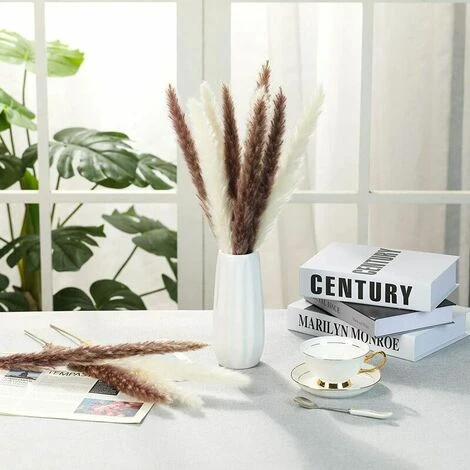 Erba Di Pampa Essiccata - Mazzo Di Fiori Secchi Di Erba Di Canne Di Piume Naturali Da 30 Pezzi Per La Decorazione Della Festa Nuziale Della Cucina Fai-da-te - immagine 5