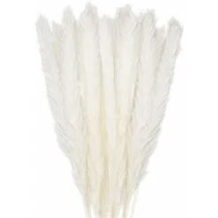 30pcs Pampas Grass 45cm Fiori Di Pampas Naturali Bouquet Di Fiori Secchi Per Vasi Bianco Boho Decor Camera Da Letto Casa Soggiorno Centrotavola Fotografia Di Matrimonio Centrotavola