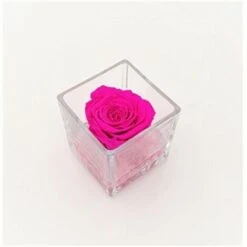Cubo Fondo Pietra Con Rosa Cm 8x8 - Fucsia
