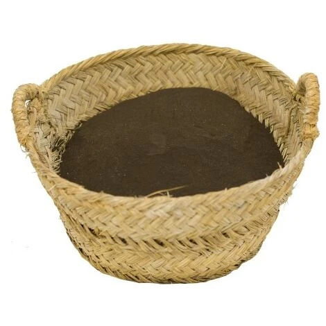 CULTIVERS Blood Meal 25 Kg. Fertilizzante Organico Ad Alto Contenuto Di Azoto, Ferro Emico E Materia Organica. Fertilizzante Naturale Attivatore Di Crescita Per Colture - immagine 3