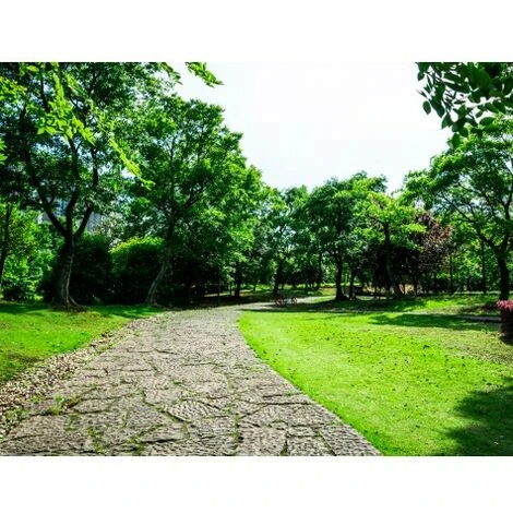 CULTIVERS Farina Ossea 5 Kg. Fertilizzante Organico Per Piante. Fornisce Fosforo E Calcio Alle Colture. Il Fertilizzante Naturale Al 100% Migliora La Qualità , La Consistenza E La Durata Dei Frutti Dop - immagine 2